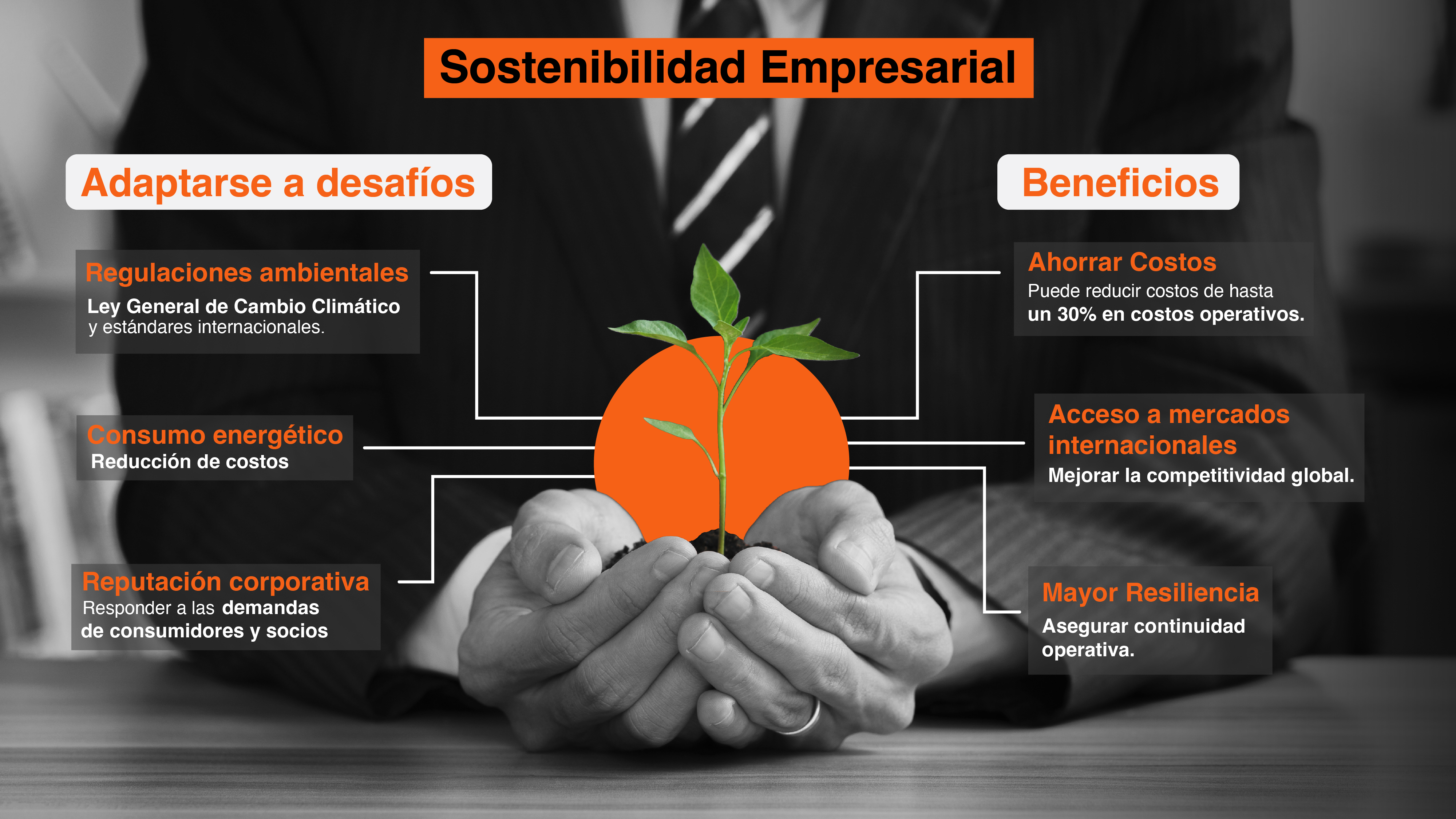 sostenibilidad empresarial