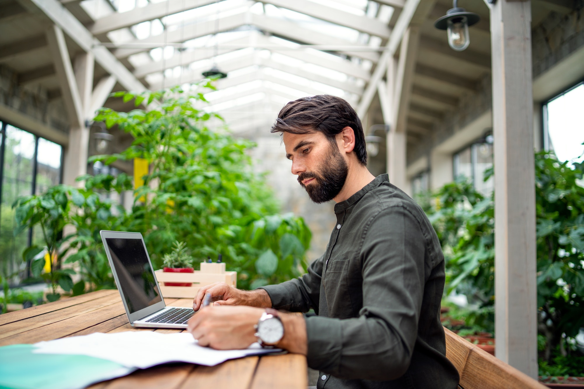 Young man with laptop sitting indoors in green office, working